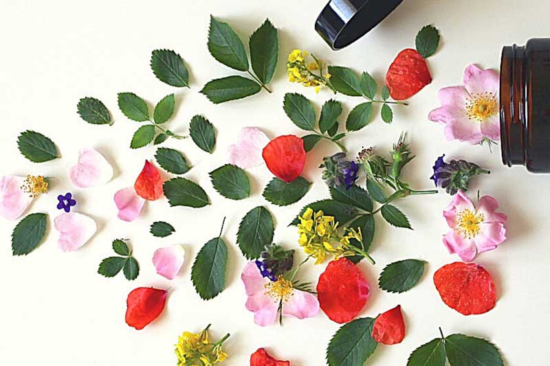 Plantas y flores ingredientes para elaboración de productos orgánicos para la piel